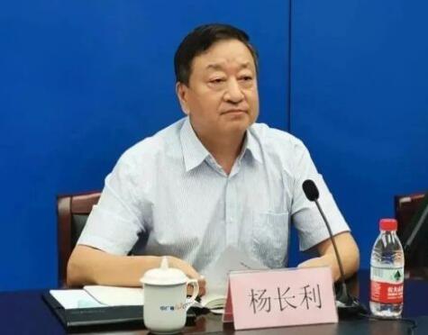任職總經(jīng)理半年后，楊長利任中廣核董事長