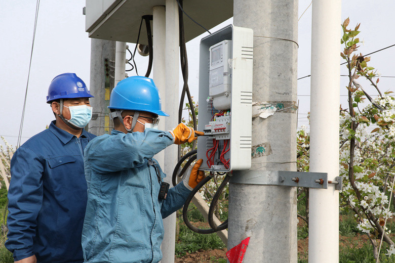 國網(wǎng)諸城市供電公司電力足，千畝梨園花正濃