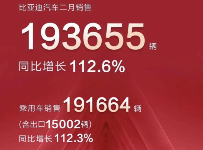 2月新能源車企成績(jī)單出爐，比亞迪一騎絕塵