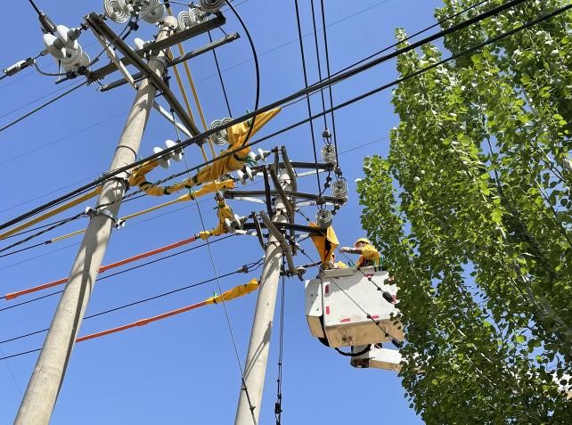 帶電作業(yè)除隱患，安全供電有保障