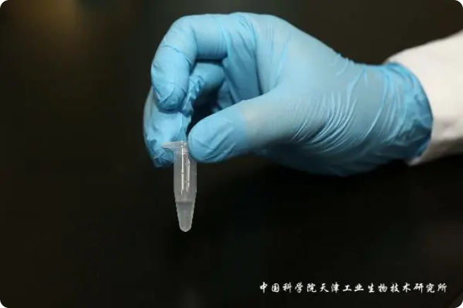二氧化碳“變身”糖，中國科學(xué)家實(shí)現(xiàn)重大突破!