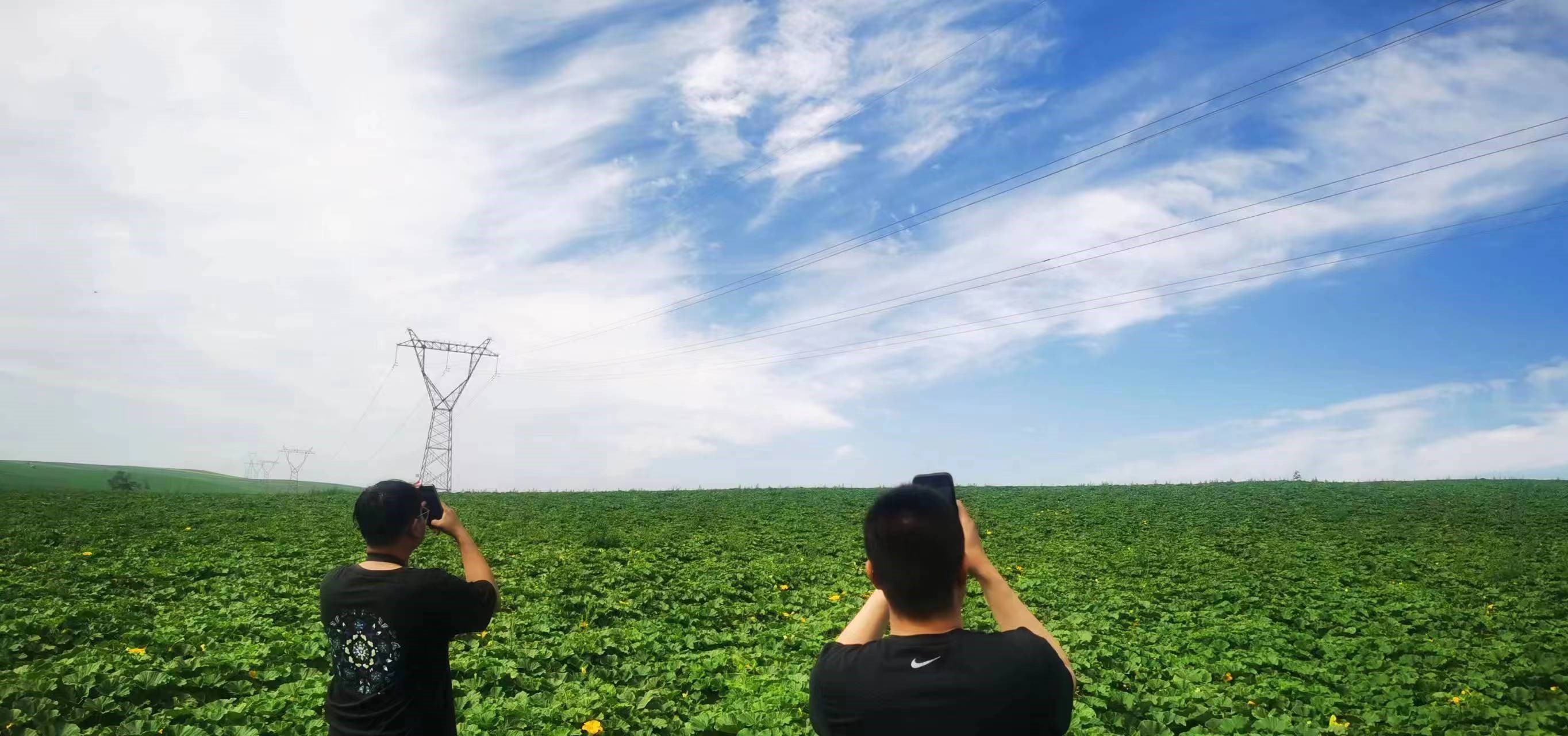 四子王輸變電管理處：防外力破壞，助安全運行