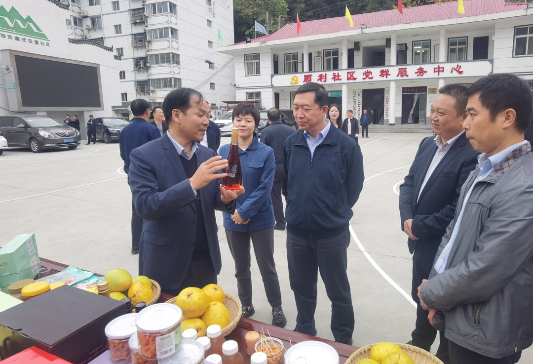 中核集團(tuán)總經(jīng)理、黨組副書記顧軍赴陜西白河、旬陽調(diào)研鄉(xiāng)村振興工作