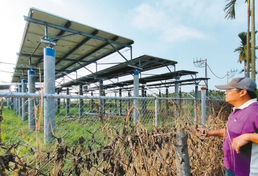 臺媒：農(nóng)田“種電”讓農(nóng)民苦不堪言，島內(nèi)面臨農(nóng)電兩失困境