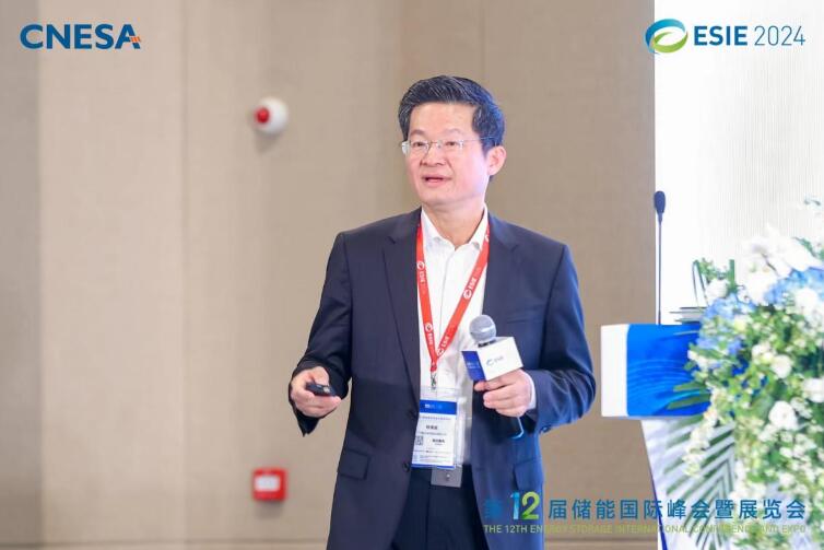 林澤波：儲能企業(yè)出海不是價格競爭，而是以定制優(yōu)質(zhì)產(chǎn)品和服務(wù)實現(xiàn)可持續(xù)發(fā)展