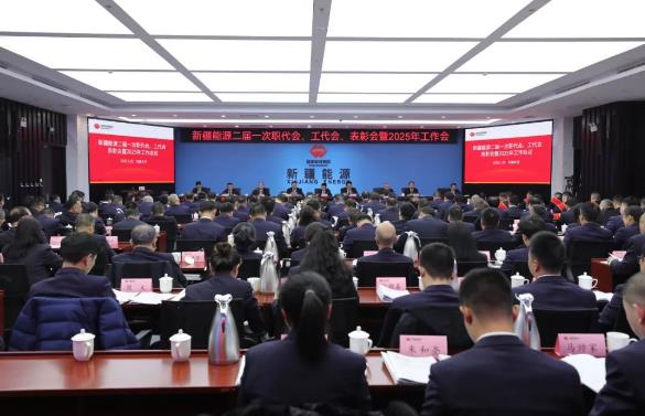 國能新疆能源召開二屆一次職代會、工代會、表彰會暨2025年工作會